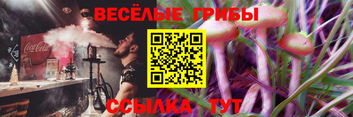 Галлюциногенные грибы Cubensis  где купить наркоту  Псилоцибиновые грибы Magic Shrooms  Волгоград  Вход с VPN 